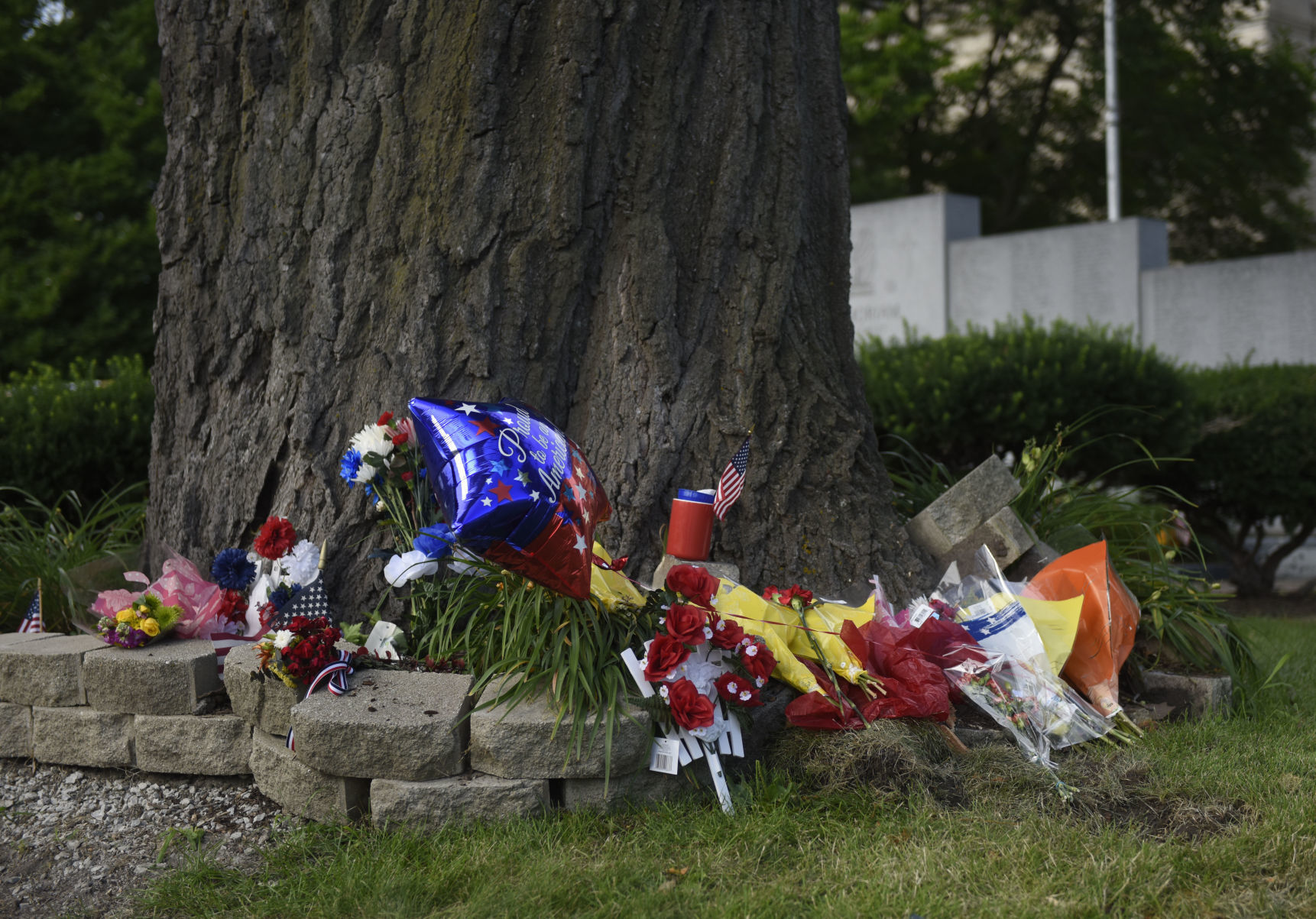 070518-mda-nws-tree-limbaccident-04.jpg